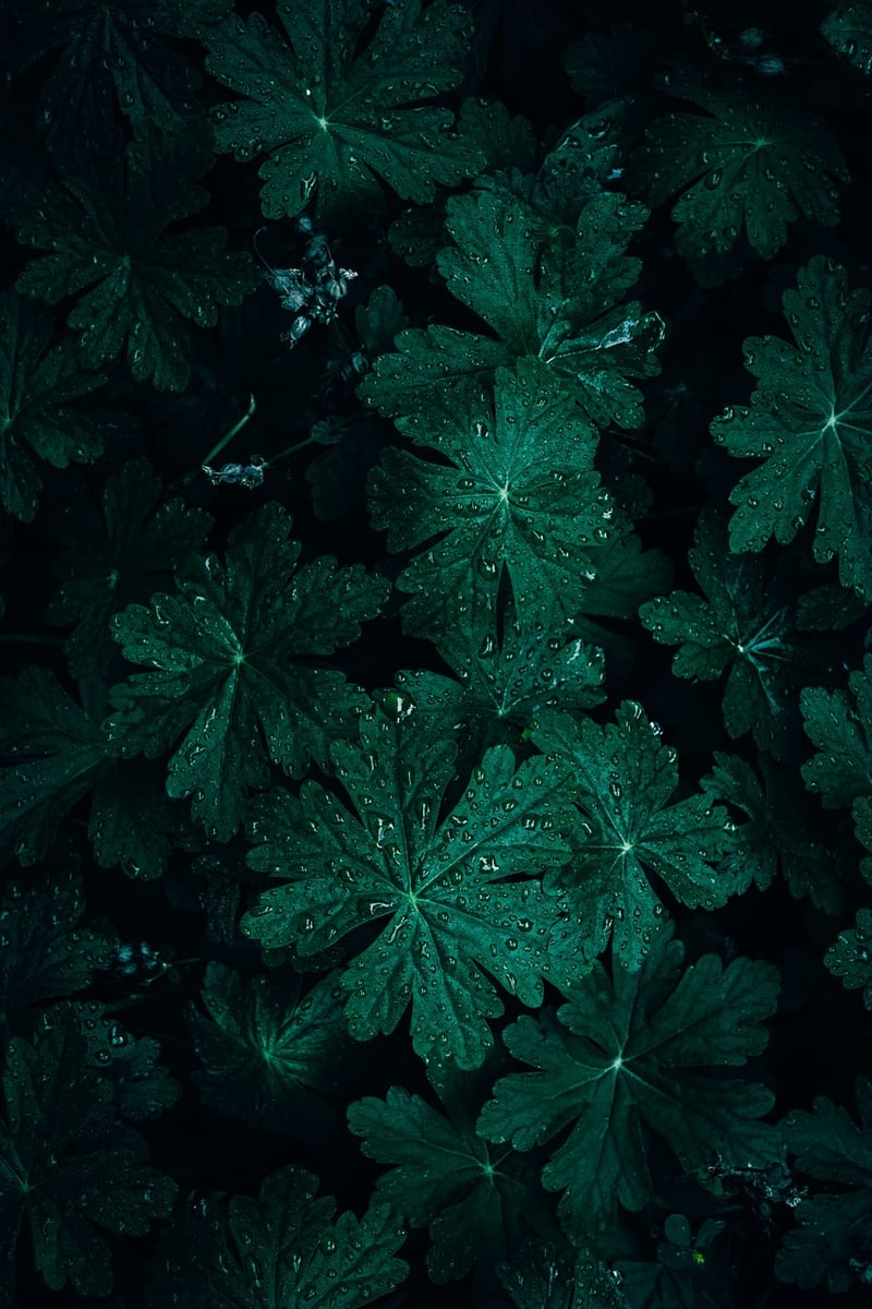 Green Leaves Pattern
