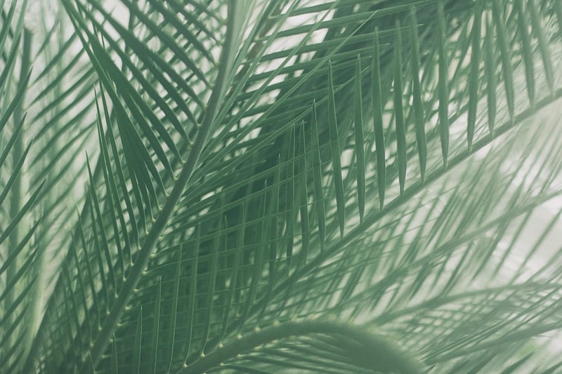 Leaf Pattern